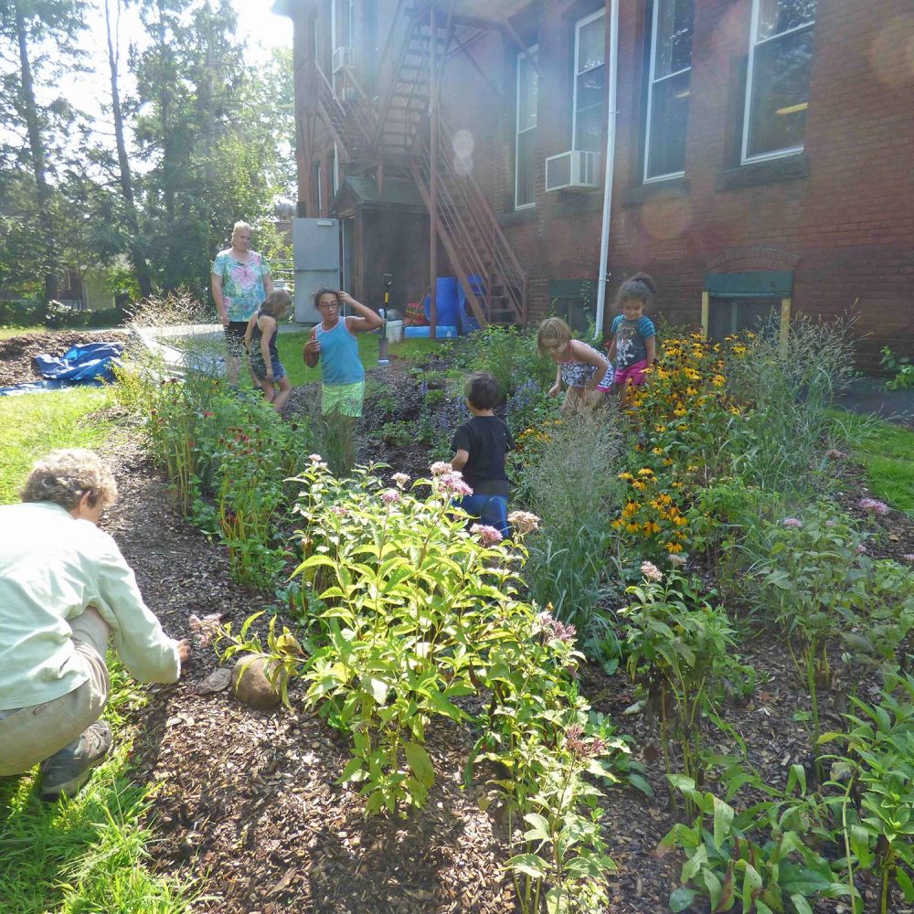 Nature-based storm water management