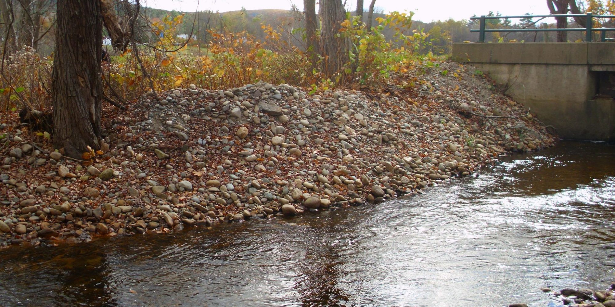 WPA project restoration in a wetland