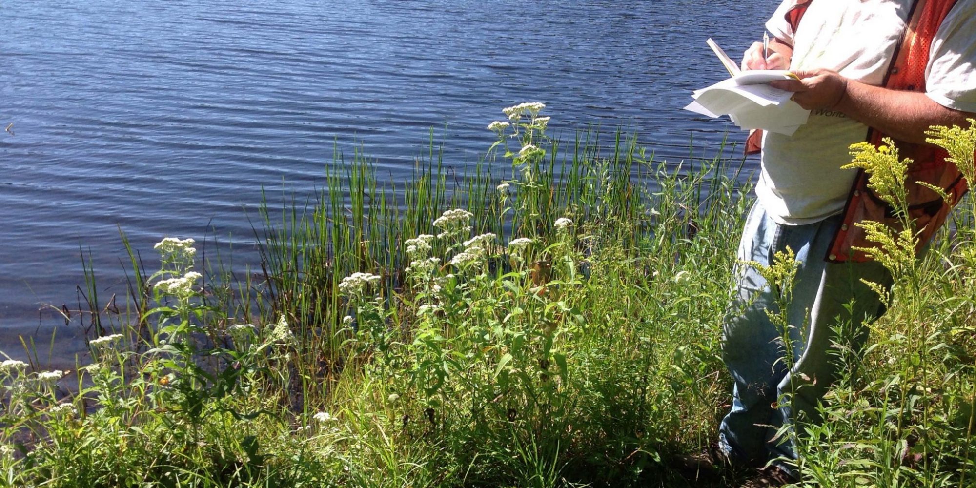 John Lepore taking mapping notes on the edge of a lake