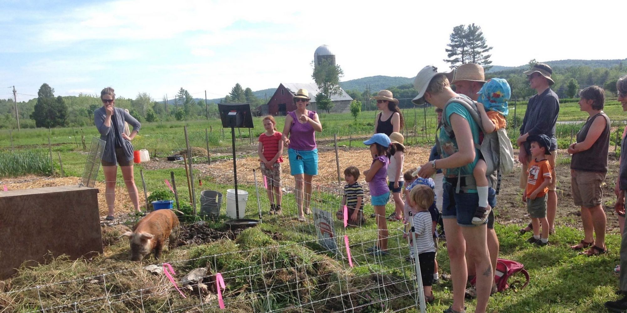 Stakeholders visit a pig in a community garden